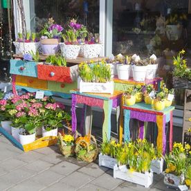 Detail vor dem Ladengeschäft stehen Planzen und Blumen in Töpfen auf bunten Hockern und einer bunten Kommode 