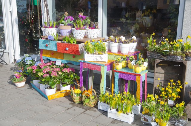 Detail vor dem Ladengeschäft stehen Planzen und Blumen in Töpfen auf bunten Hockern und einer bunten Kommode 