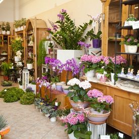 Blick in den Laden mit Holzschränken und Vitrinen mit Kränzen auf dem Boden und vielfältigste Blumenarrangements vor allem in Rosatönen.