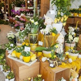 Detail im Laden auf Holzkästen sind Topfpflanzen in Gelbtönen und Vasenarrangements gestellt. Zwei Figuren aus Stein mit Hüten stehen dabei. Auf dem Boden weitere Töpfe mit Frühblühern und Schmetterlings Demo