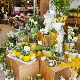 Detail im Laden auf Holzkästen sind Topfpflanzen in Gelbtönen und Vasenarrangements gestellt. Zwei Figuren aus Stein mit Hüten stehen dabei. Auf dem Boden weitere Töpfe mit Frühblühern und Schmetterlings Demo