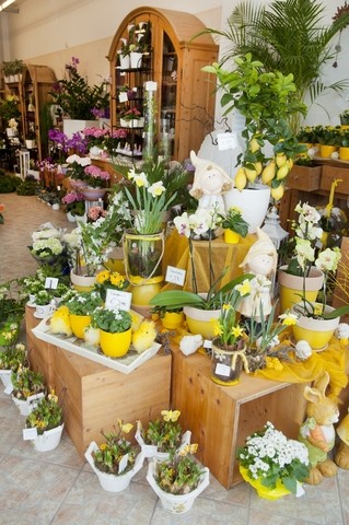 Detail im Laden auf Holzkästen sind Topfpflanzen in Gelbtönen und Vasenarrangements gestellt. Zwei Figuren aus Stein mit Hüten stehen dabei. Auf dem Boden weitere Töpfe mit Frühblühern und Schmetterlings Demo
