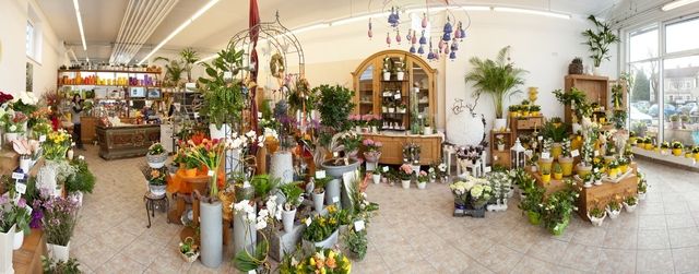 Blick in das Blumenfachgeschäft mit Rosenbogen und Vitrinenschrank aus Holz und diversen Blumenarrangements für alle Gelegenheiten