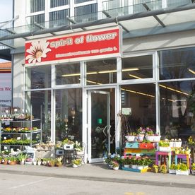 Blick von außen auf das Florisitkgeschäft mit der Aufschrift Spirit of Flower. Vor dem Schaufenster sind diverse Pflanzen in Töpfen auf bunten Hockern.