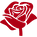 Icon einer roten Rose